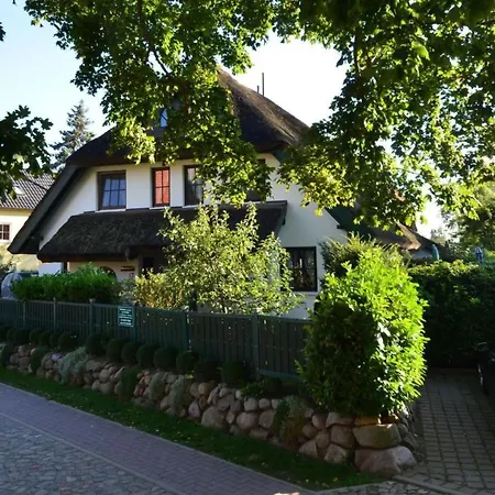 Haus Strandhafer By Interhome 度假居